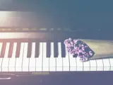 Piano M Blomster Min