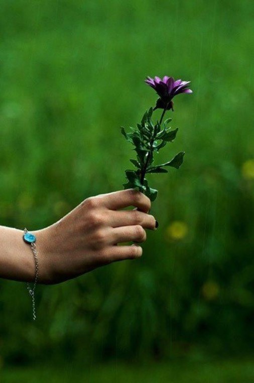 Hånd som holder en blomst